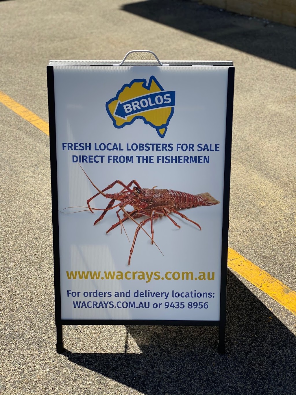 WA Crays Fremantle local lobster | food | At the end of the quay, 6 Molfetta Quays, Fremantle WA 6160, Australia | 0894358956 OR +61 8 9435 8956