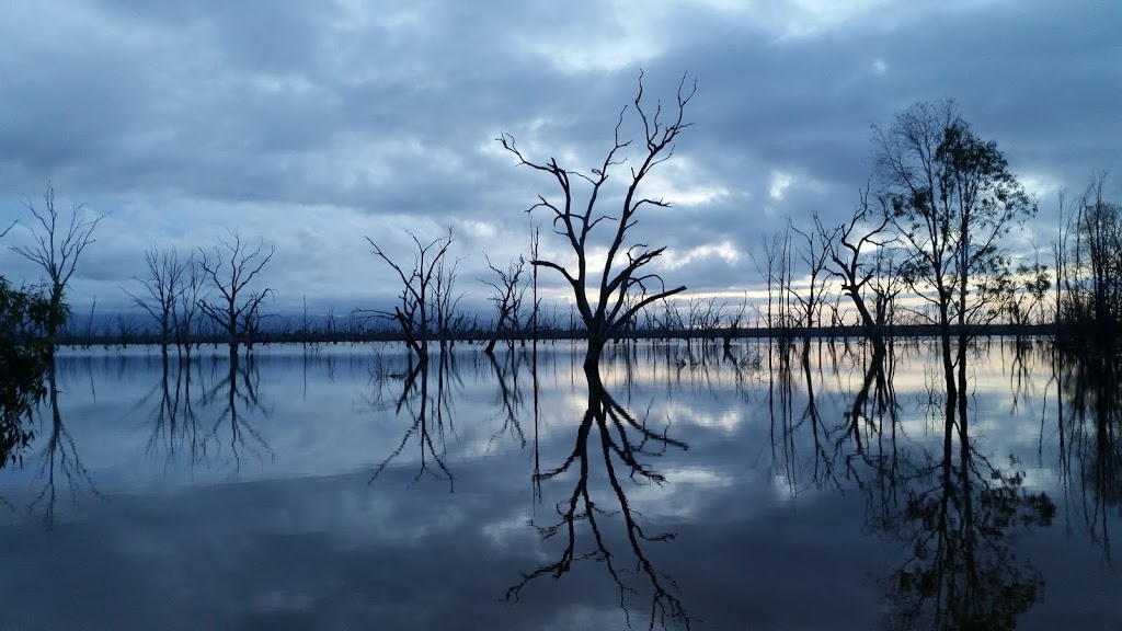 Mountain Dam Campsite | campground | Rocklands-Cherrypool Rd, Rocklands VIC 3401, Australia