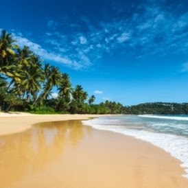 Best Sri Lanka Holiday Packages | travel agency | 55 Grand Parade, Epping VIC 3076, Australia | 0421705852 OR +61 421 705 852