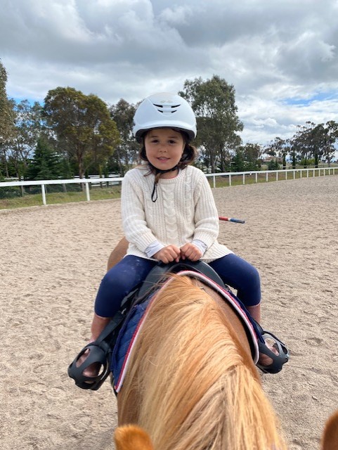 Elle Equestrian Centre | 315 Bulla-Diggers Rest Rd, Diggers Rest VIC 3427, Australia | Phone: 0402 532 336