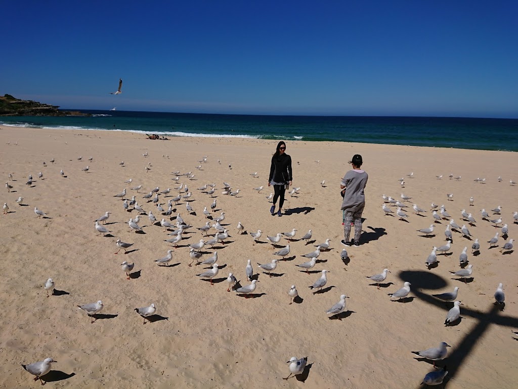 Maroubra Beach Playground | 1/11 Marine Parade, Maroubra NSW 2035, Australia | Phone: (02) 9399 0999