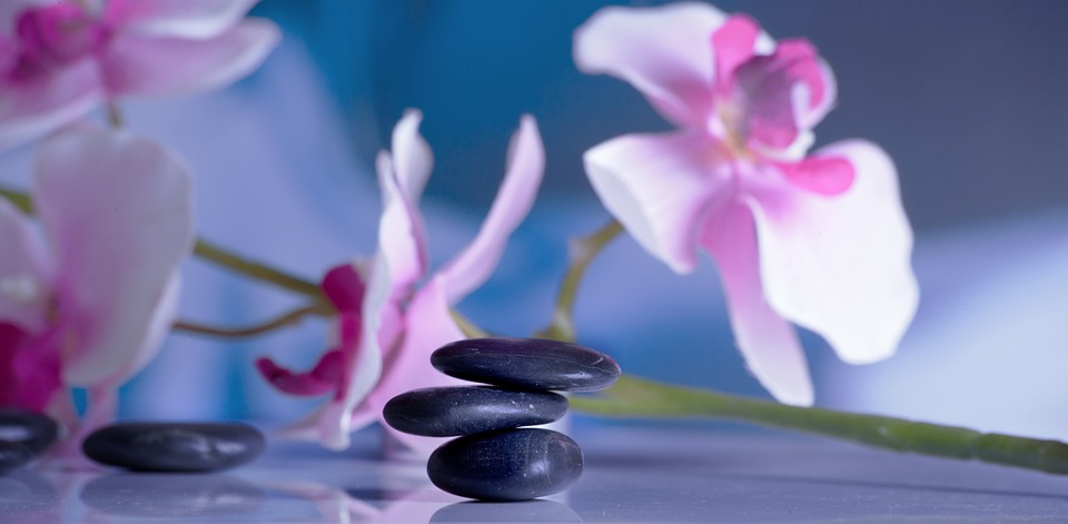 Traditional Chinese Healing Clinic | health | 266 Preston Rd, Wynnum West QLD 4178, Australia | 0739011122 OR +61 7 3901 1122