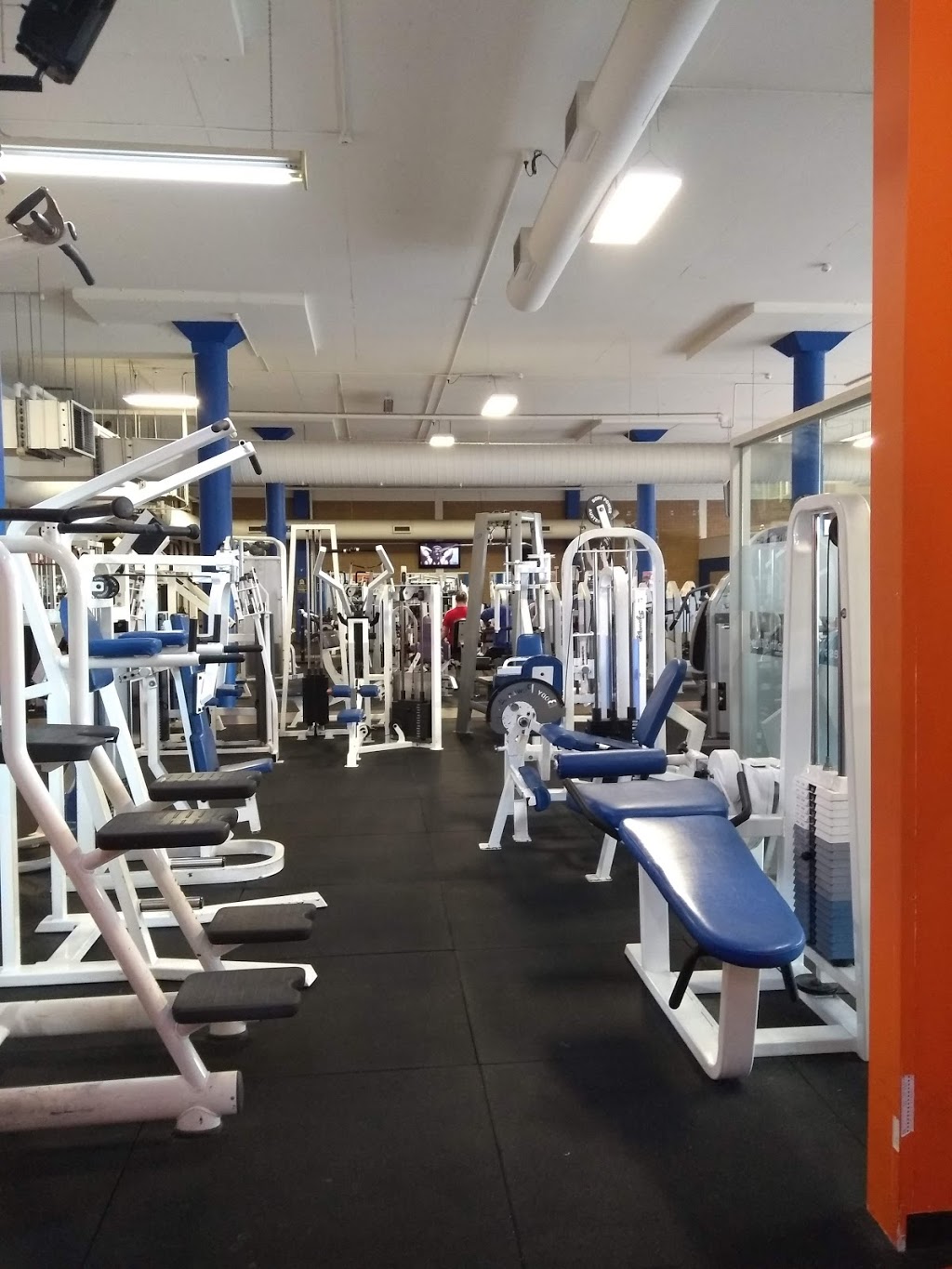 Next Level Fitness HQ | gym | 1535 Centre Rd, Clayton VIC 3168, Australia | 0395444261 OR +61 3 9544 4261