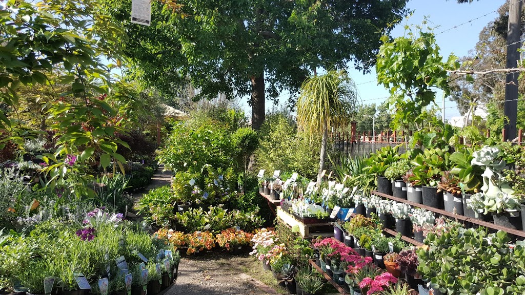 The Garden of Eden Nursery | 365 Ferrars St, Albert Park VIC 3206, Australia | Phone: (03) 9696 0551