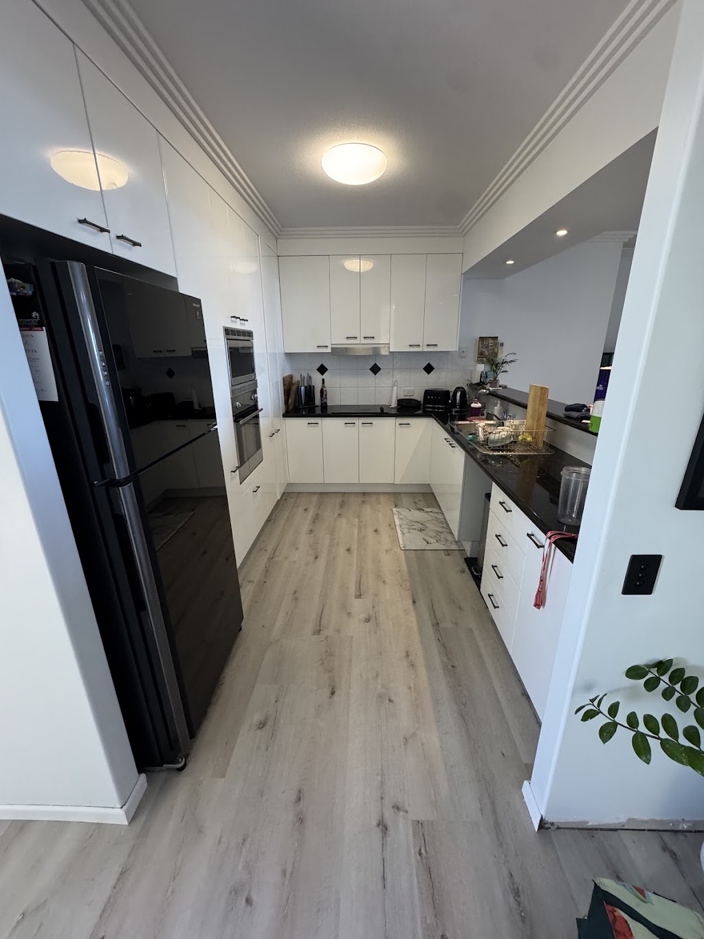 Andersens Mackay and Whitsundays | 1693 Yakapari Seaforth Rd, Mount Jukes QLD 4740, Australia | Phone: 0477 887 218