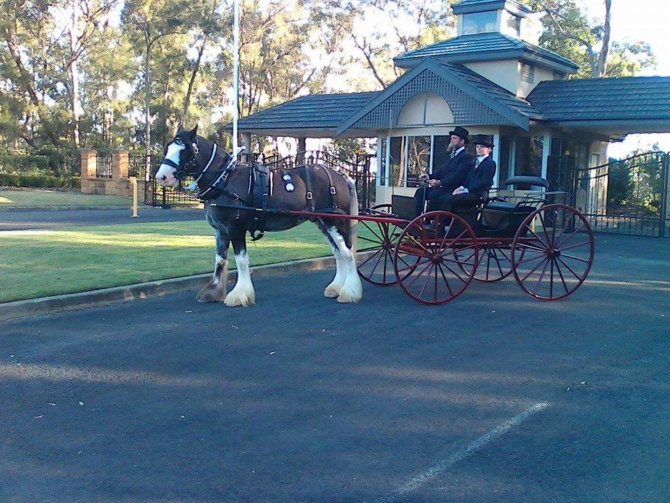 Australian Horse Drawn Services | 563 Freemans Reach Rd, Freemans Reach NSW 2756, Australia | Phone: 0427 147 156
