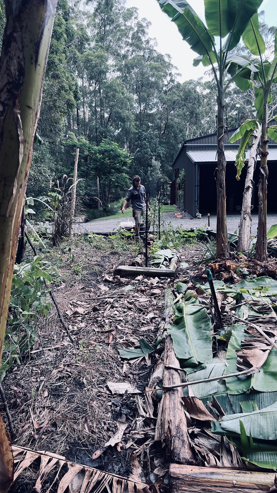 Sustainable Gardens Sunshine Coast | 14 Mango Vale Ct, Diddillibah QLD 4559, Australia | Phone: 0477 422 869