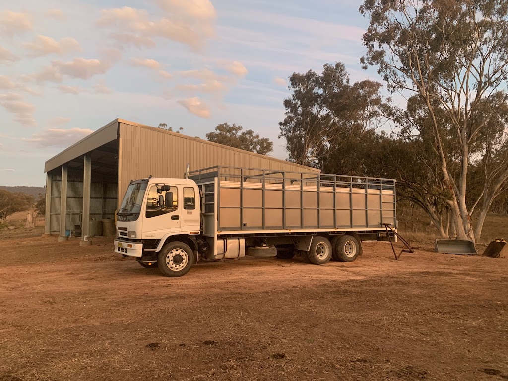 Capertee Valley Livestock Transport | 484 Crown Station Rd, Glen Davis NSW 2846, Australia | Phone: 0414 668 525