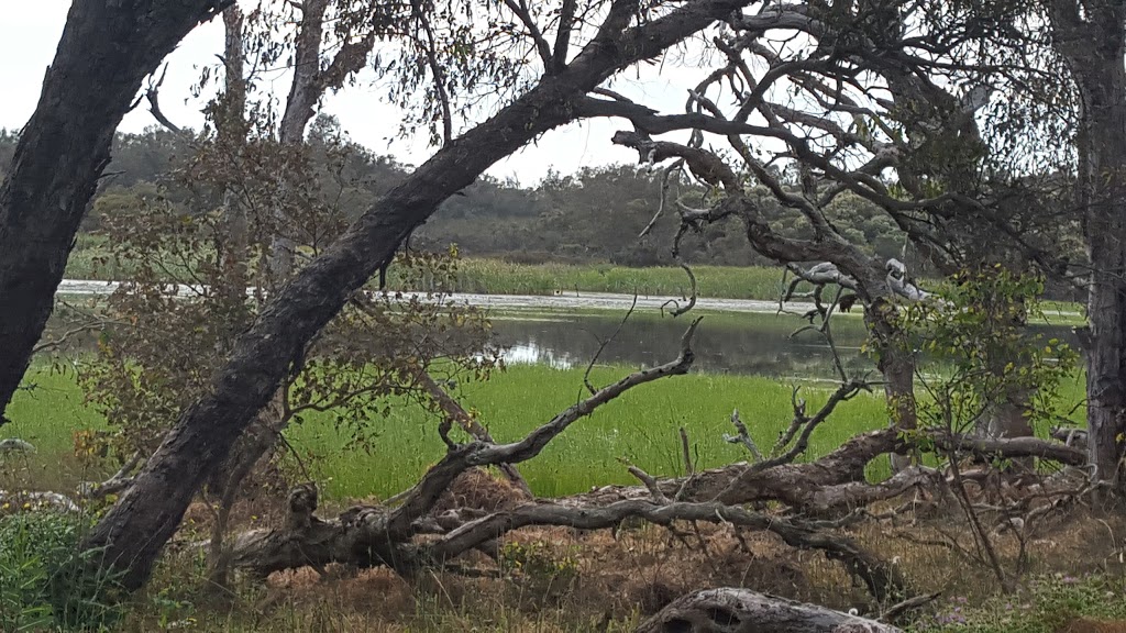 Beeliar Regional Park | Beeliar WA 6164, Australia