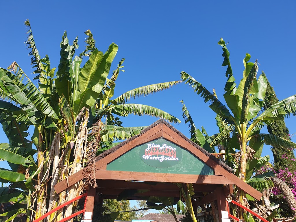 Blue Lotus Water Garden | tourist attraction | 2628 Warburton Hwy, Yarra Junction VIC 3797, Australia | 0359672061 OR +61 3 5967 2061