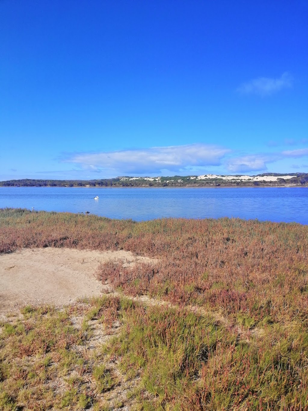 Greenough River Walking Trail | Cape Burney WA 6532, Australia