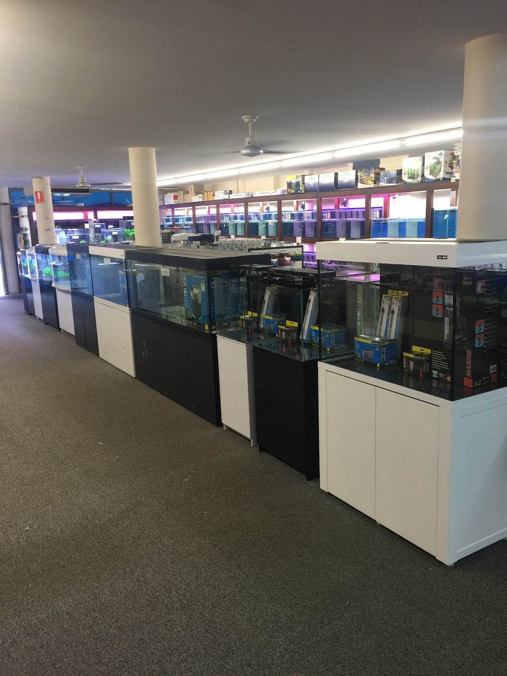 West Ryde Aquarium | pet store | Shop 9/2 Marsden Rd, Ermington NSW 2115, Australia | 0298584066 OR +61 2 9858 4066