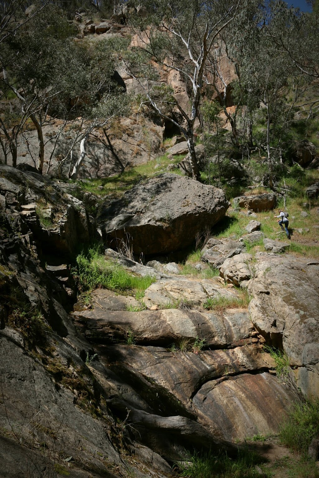 Warby-Ovens National Park | Wangandary VIC 3678, Australia | Phone: 13 19 63