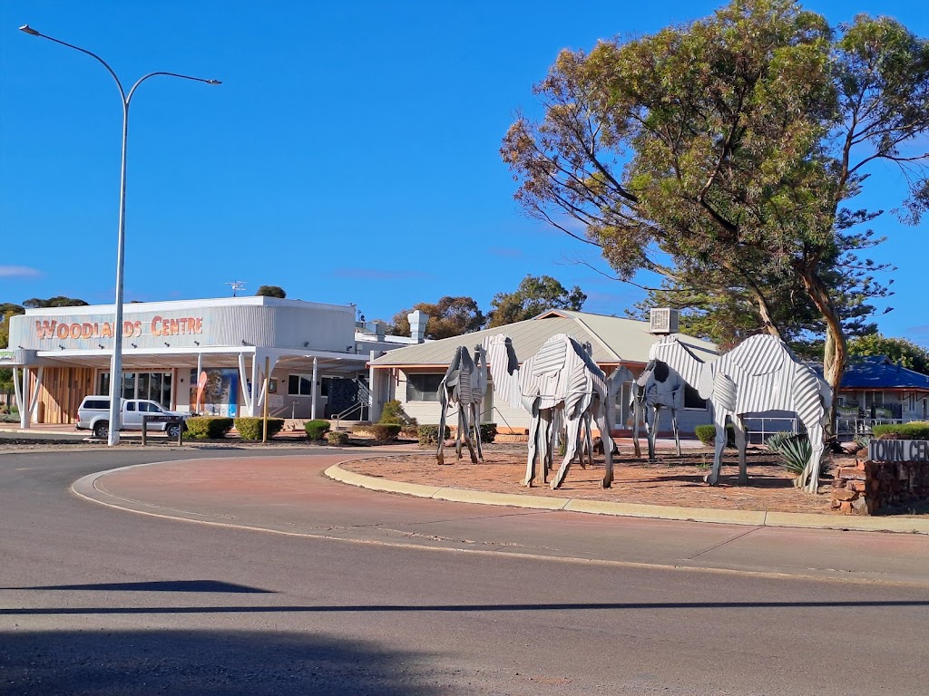 Norseman Visitor Centre | 78 Prinsep St, Norseman WA 6443, Australia | Phone: (08) 9039 0040