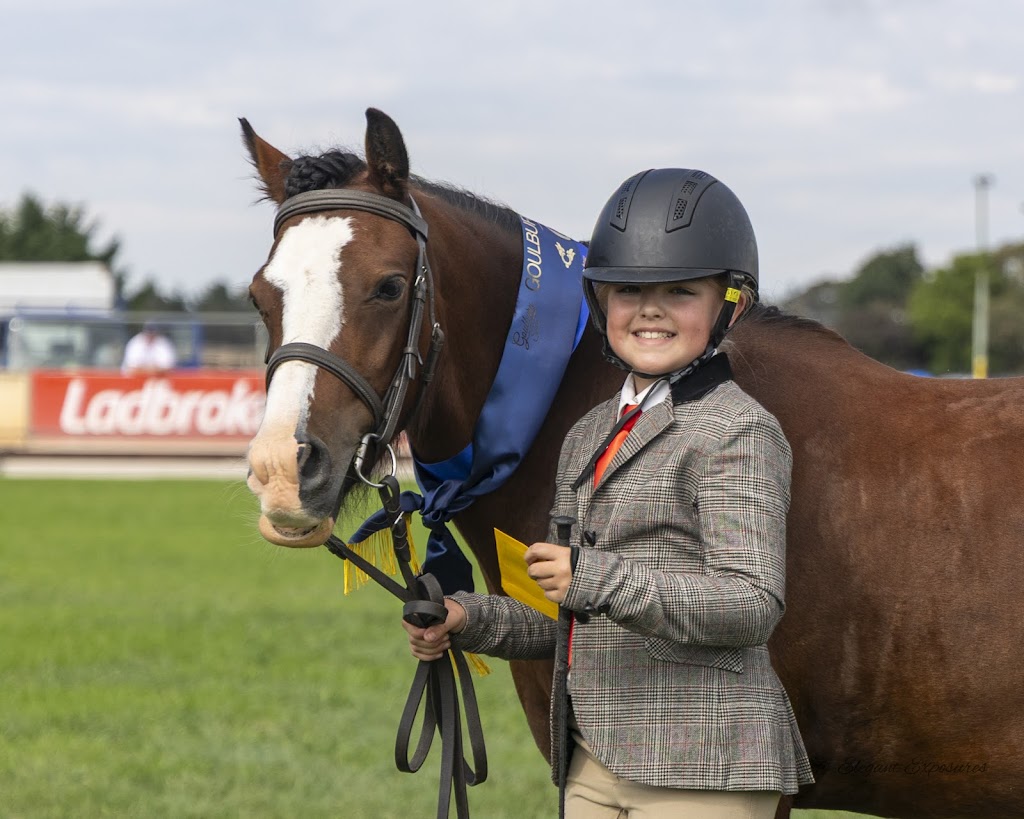 M & L Equestrian | 1171 Nowra Rd, Fitzroy Falls NSW 2577, Australia | Phone: 0402 218 470