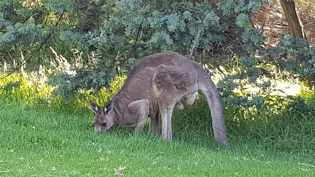 Lysterfield Park | park | Horswood Rd, Narre Warren North VIC 3804, Australia | 131963 OR +61 131963