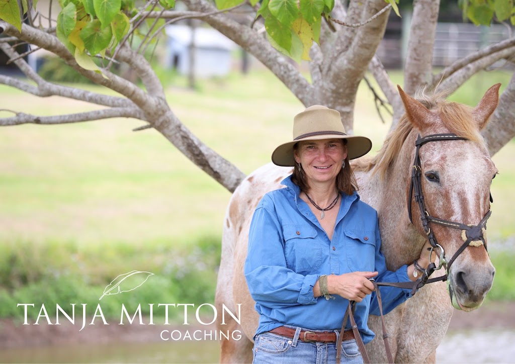 Tanja Mitton Equestrian Success and Mindset | health | 384 Blackall Range Rd, West Woombye QLD 4559, Australia | 0419891319 OR +61 419 891 319