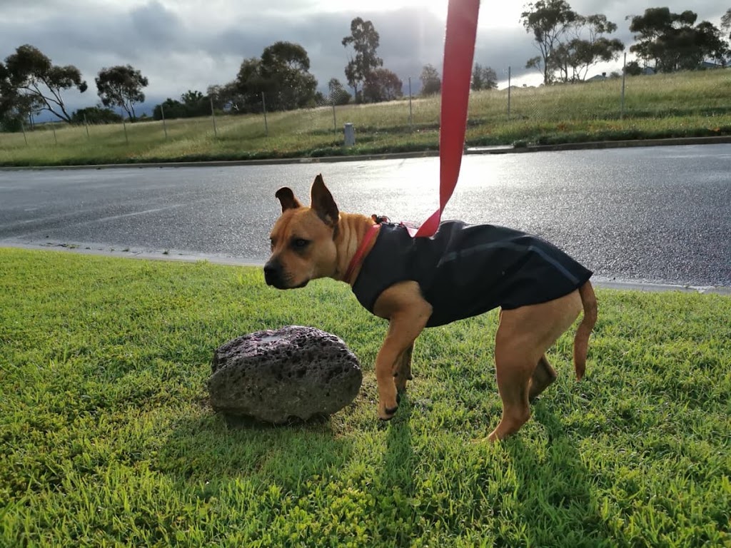 Marshian Pet Home | 236 Stonehill Dr, Maddingley VIC 3340, Australia | Phone: 0470 295 527