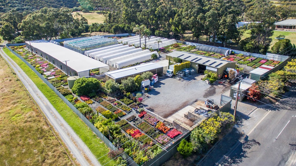 Adelaide Plant Growers | 594 States Rd, Onkaparinga Hills SA 5163, Australia | Phone: (08) 8384 7176