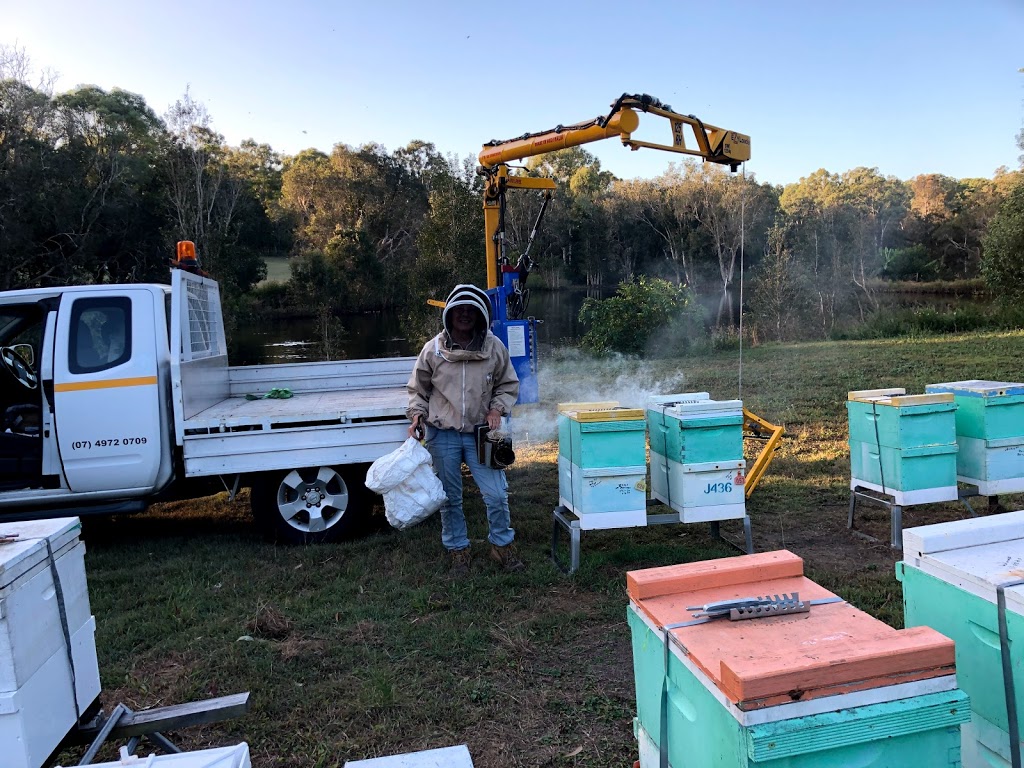 The Bee Lady Apiaries | 146 Fischer Rd, Carbrook QLD 4130, Australia | Phone: 0400 833 017