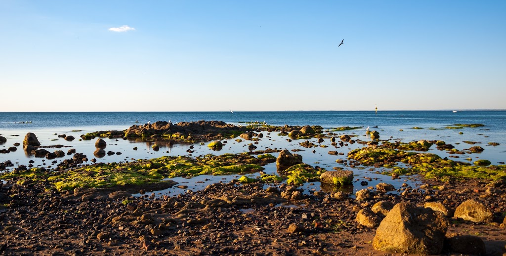 Frankston Foreshore Reserve | park | Victoria 3199, Australia