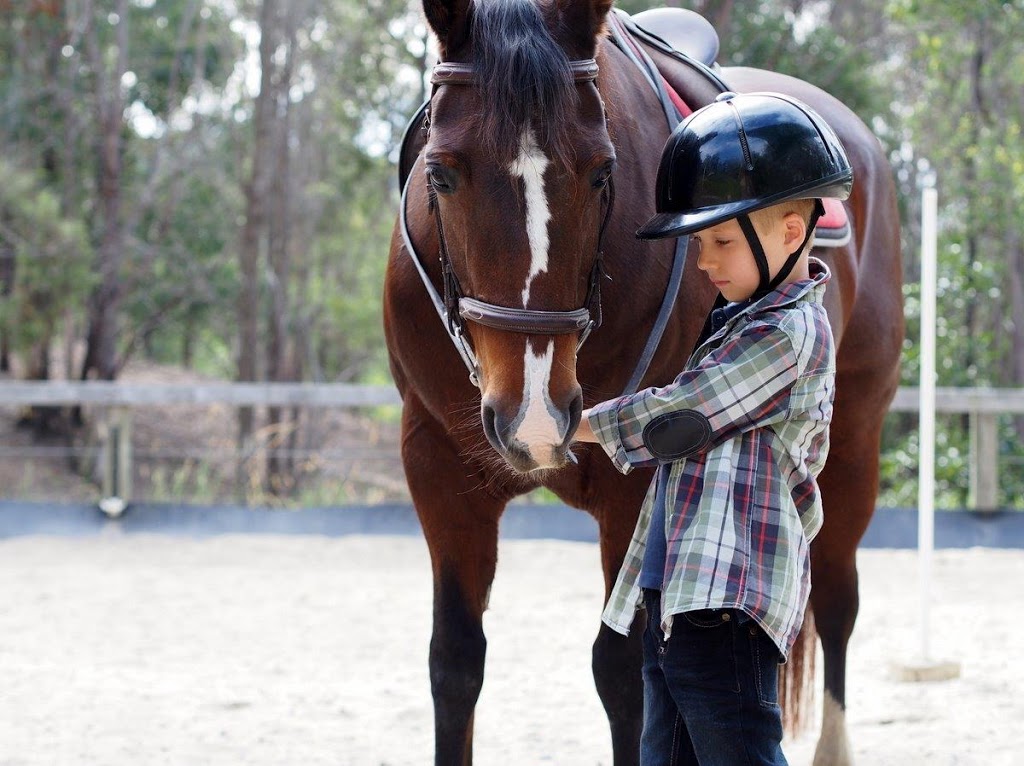 Bonogin Valley Horse Retreat - Gold Coast Horse Riding |  | 97 Aylesham Dr, Bonogin QLD 4213, Australia | 0756677468 OR +61 7 5667 7468