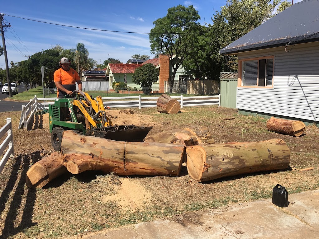 Dubbo Tree Service | 18 Spence St, Dubbo NSW 2830, Australia | Phone: 0424 242 332