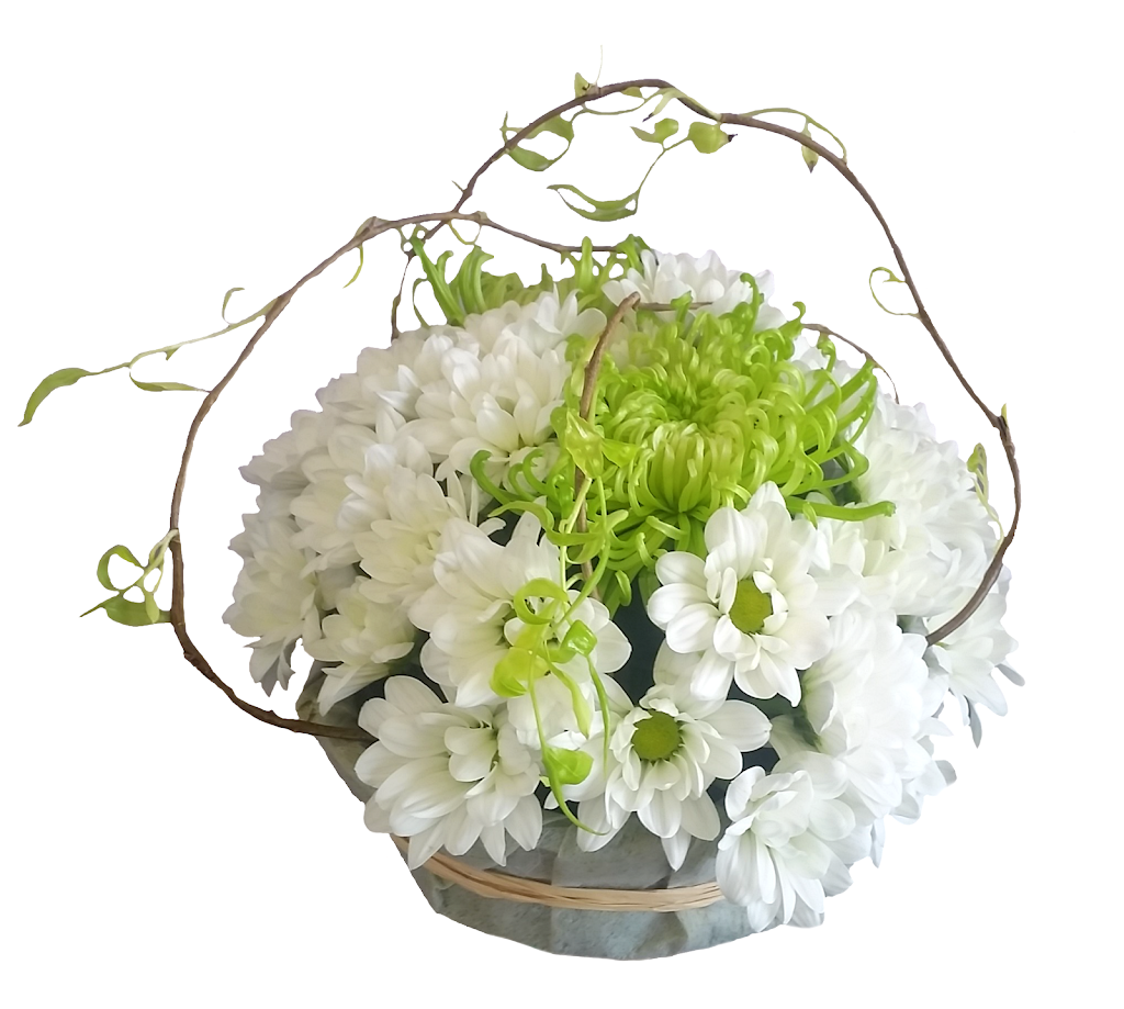 Wired Stems | florist | 3 Majors Ln, Lovedale NSW 2320, Australia | 0401317208 OR +61 401 317 208