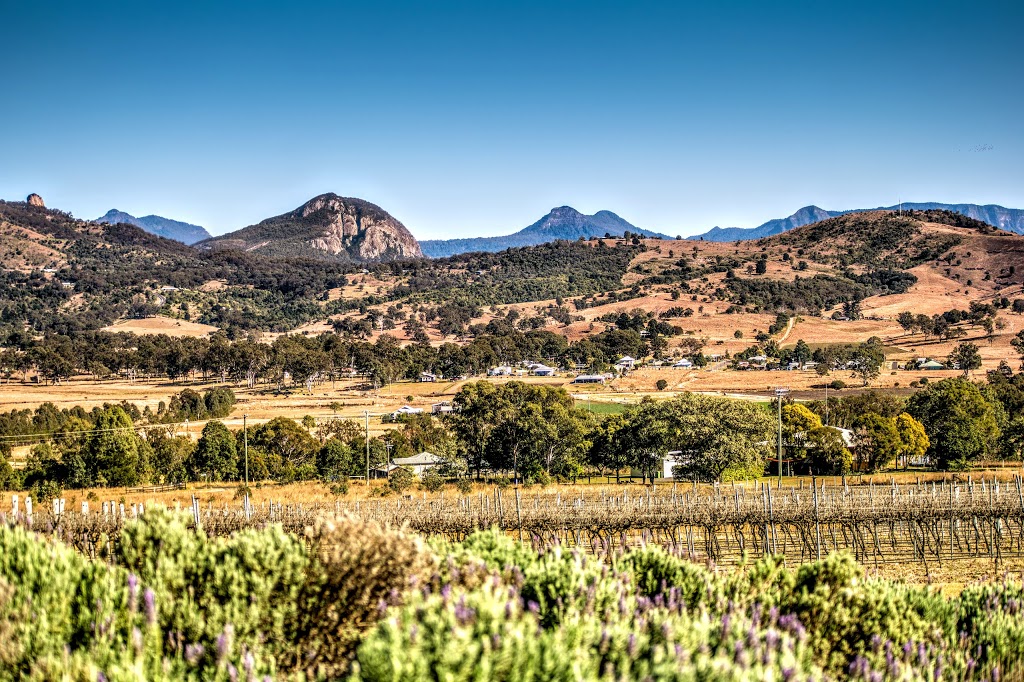 Kooroomba Vineyards and Lavender Farm | restaurant | 168 F M Bells Rd, Mount Alford QLD 4310, Australia | 0754630022 OR +61 7 5463 0022