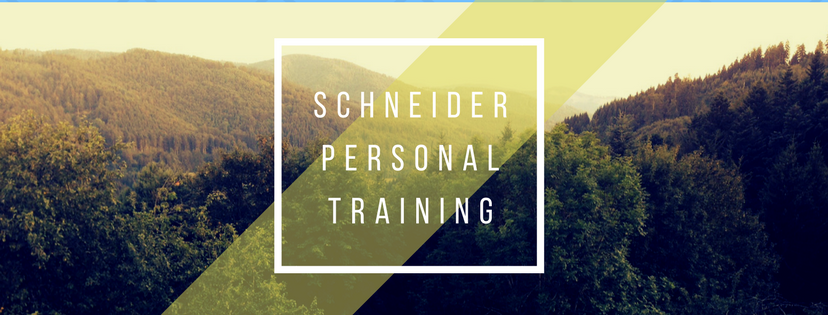 Schneider Personal Training | 28 Douro Rd, Wellington Point QLD 4160, Australia | Phone: 0487 309 909