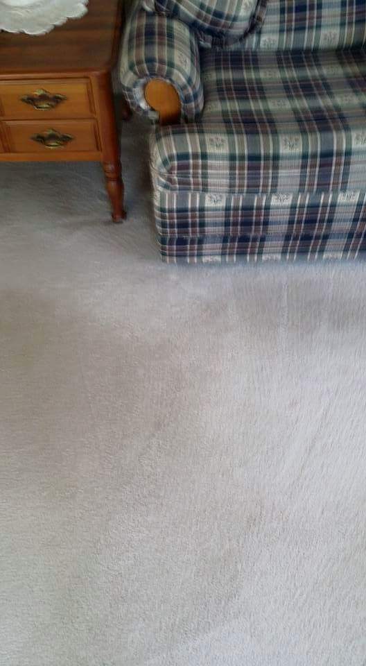 Dry King Carpet Cleaning | 5 Lignite Pl, Eagle Vale NSW 2558, Australia | Phone: (02) 4620 5555