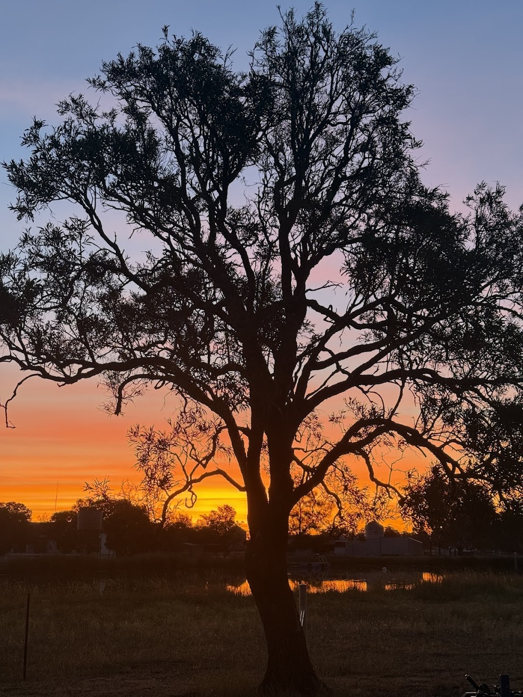 Yarralla on the Marthaguy Campground | 6117 Newell Hwy, Gilgandra NSW 2827, Australia | Phone: 0418 430 304