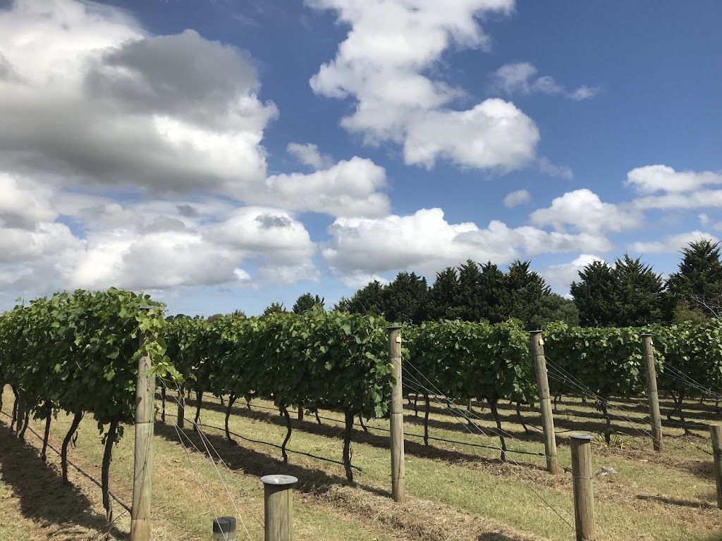 Hedera Estate Wine | Gumeracha SA 5233, Australia | Phone: 0426 665 220