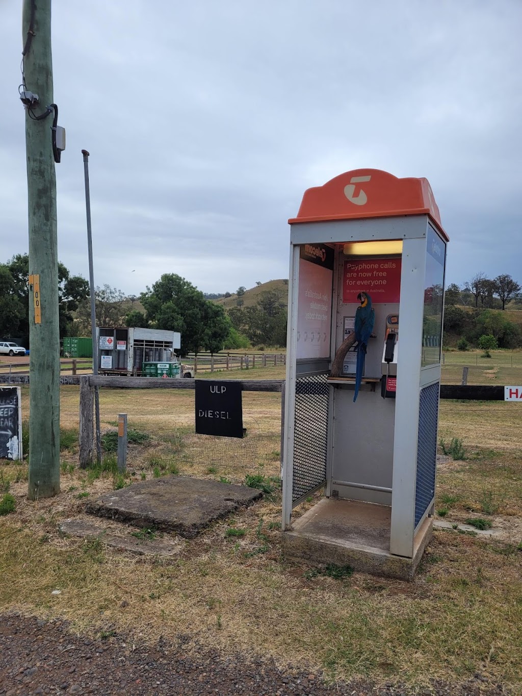 Telstra Payphone | 5 Riley St, Gundy NSW 2337, Australia | Phone: 1800 011 433