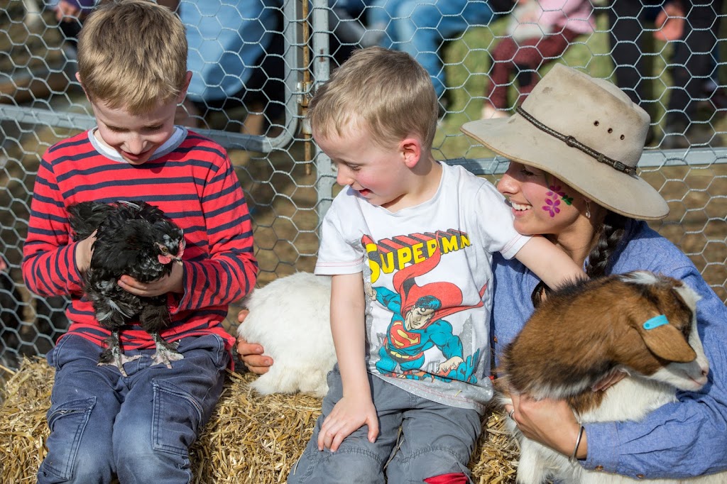 Horses Birthday Kids Festival | 69 Cooks Rd, Glenworth Valley NSW 2250, Australia | Phone: (02) 4375 1222