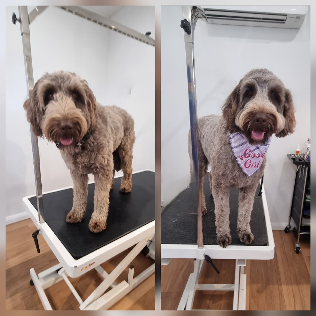 Alpine Doggy DTailing | 2 Mathews St, Myrtleford VIC 3737, Australia | Phone: 0456 698 455
