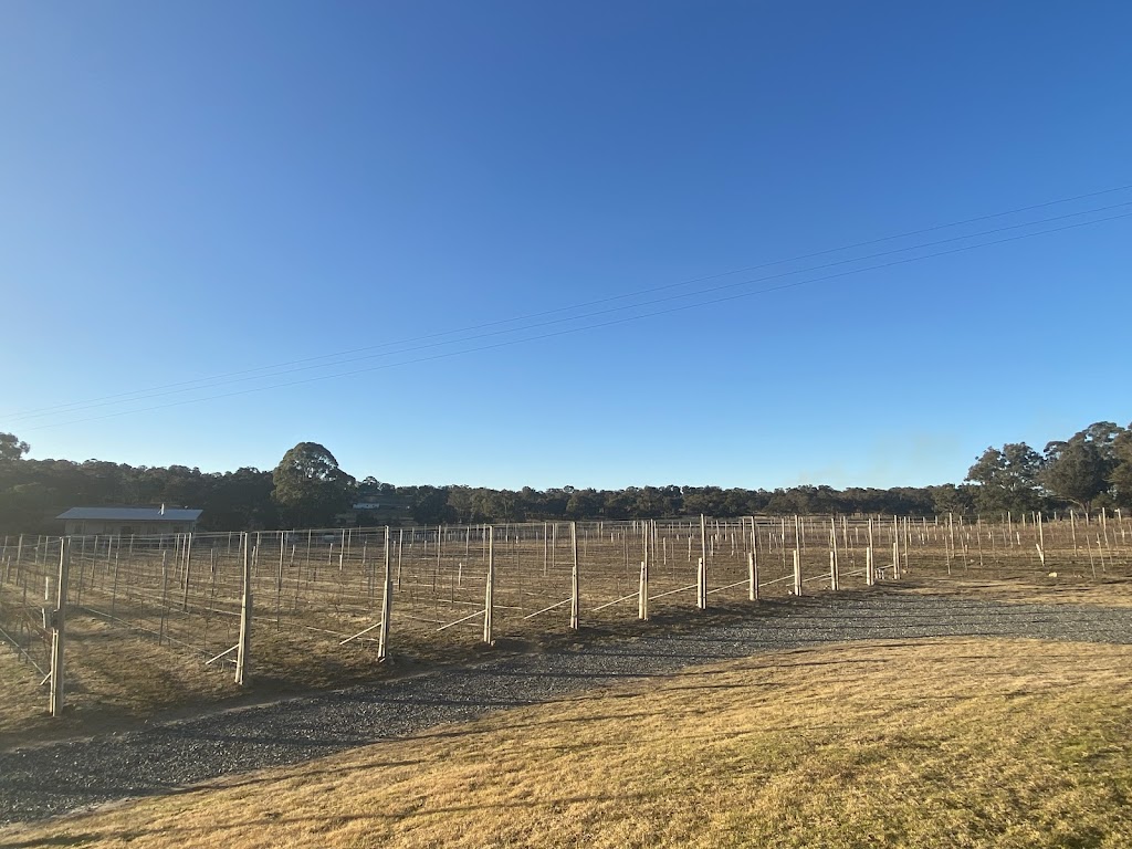 Serrena Que Estate Pty Ltd | 1498 Eukey Rd, Eukey QLD 4380, Australia | Phone: 0497 418 958 Serrena Que Estate Pty Ltd | 1498 Eukey Rd, Eukey QLD 4380, Australia | Phone: 0497 418 958