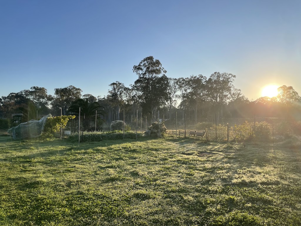 Little Farm Friends | 128 Floribunda Rd, Kemps Creek NSW 2178, Australia | Phone: 0450 505 607