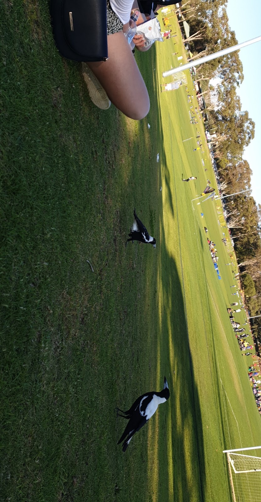 UWA Nedlands Football Club | Brockway Rd, Mount Claremont WA 6010, Australia | Phone: (08) 9389 1880