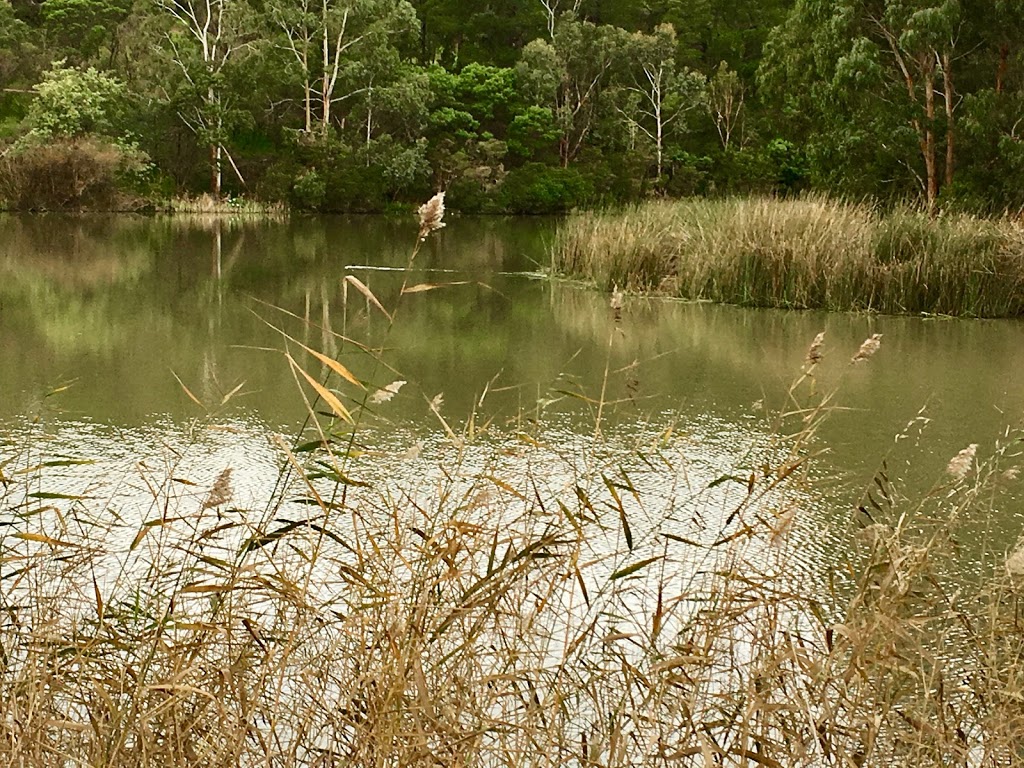 Nesting Island | Ruffey Lake, Templestowe VIC 3106, Australia