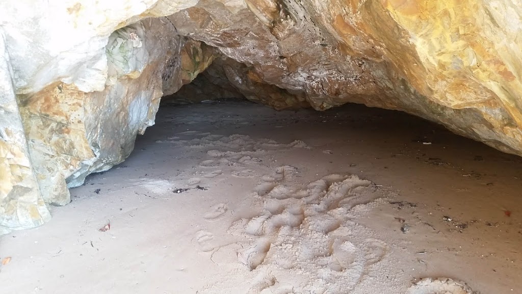 Joey Lees | Curtis Island QLD 4680, Australia