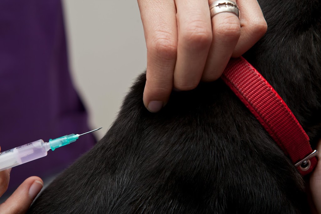 Samford Emergency & Day Vets 24/7 | 1 Serendipity Dr, Samford Valley QLD 4520, Australia | Phone: (07) 3289 9073