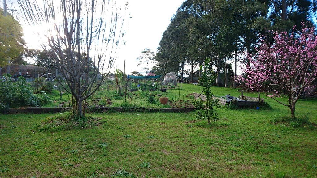 Macquarie University Community Garden | park | Talavera Rd &, Culloden Rd, Macquarie Park NSW 2113, Australia | 0298687086 OR +61 2 9868 7086