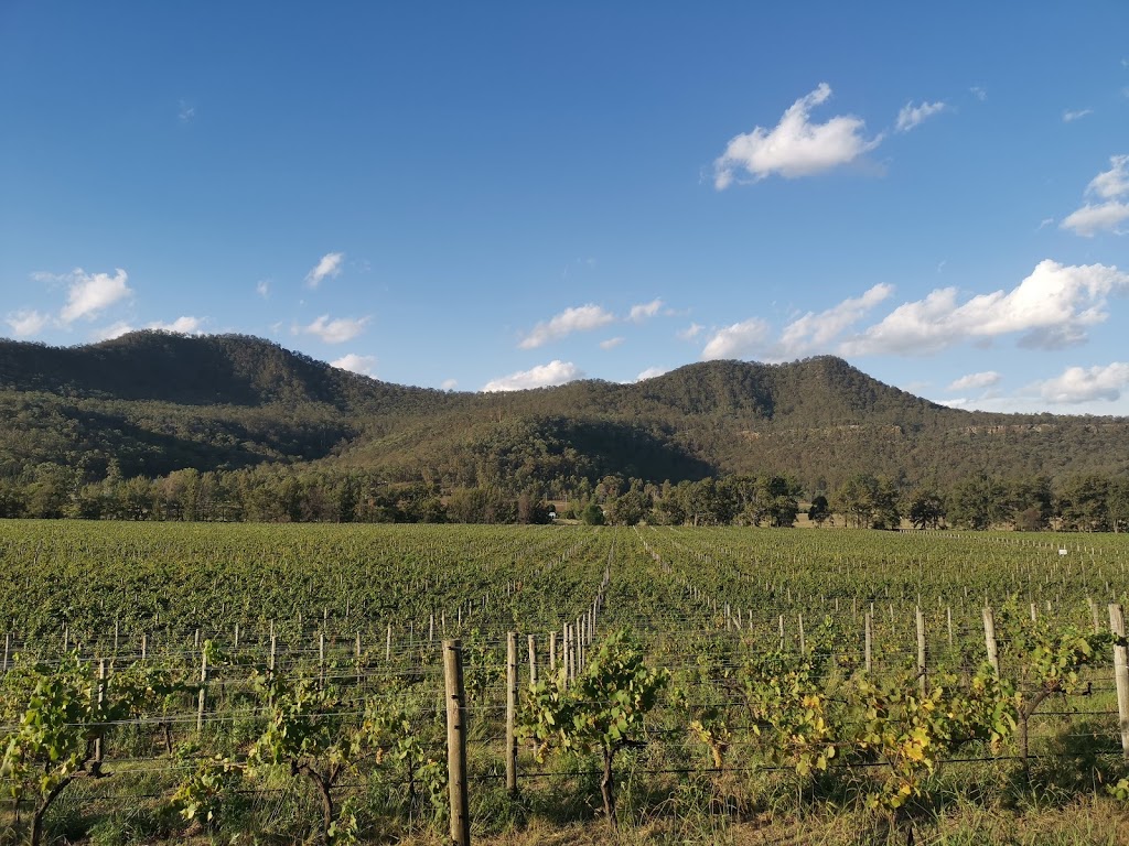 Ascella Organic Wine | 203 Thompsons Rd, Milbrodale NSW 2330, Australia | Phone: (02) 6574 5275