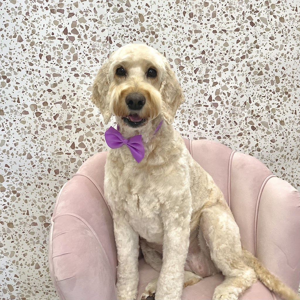 Beauty Barkers Pet Grooming | 3 Gascoyne Cct, Lara VIC 3212, Australia | Phone: 0452 234 279