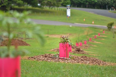 Maleny District Sport and Recreation Club | Maleny Sports Park, Parklands Drive via, Porters Ln, Maleny QLD 4552, Australia | Phone: 0438 779 601