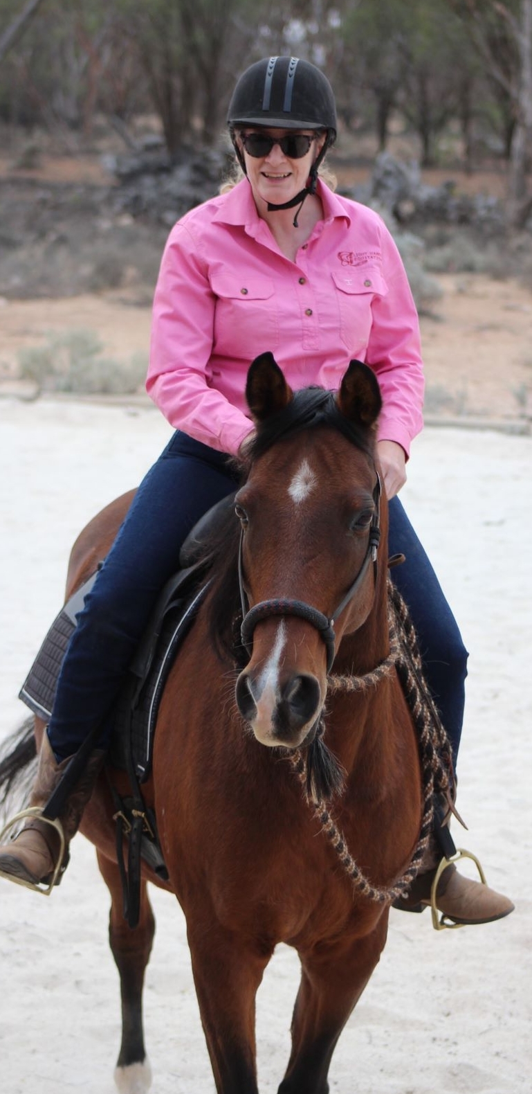Harmony N Horsemanship | Burns Rd, Mount Pleasant SA 5235, Australia | Phone: 0419 144 387