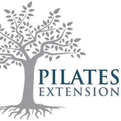 Pilates Extension | gym | 7 Farmridge Way, Glenhaven NSW 2156, Australia | 0452470098 OR +61 452 470 098