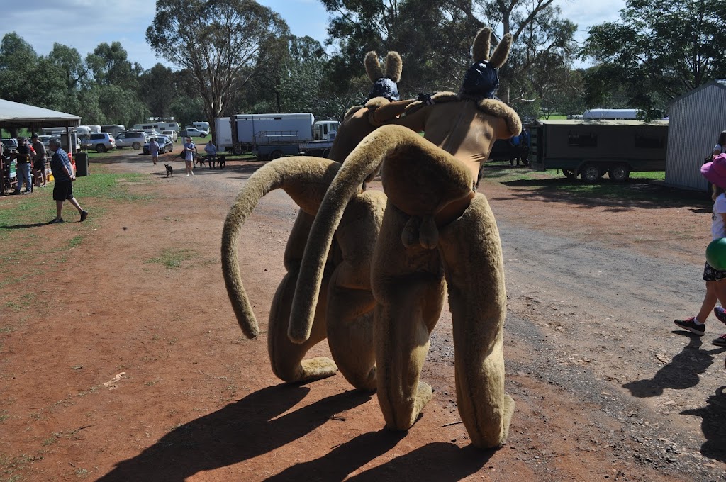 Gulgong Showgrounds | LOT 86 Grevillea St, Gulgong NSW 2852, Australia | Phone: 0484 531 520