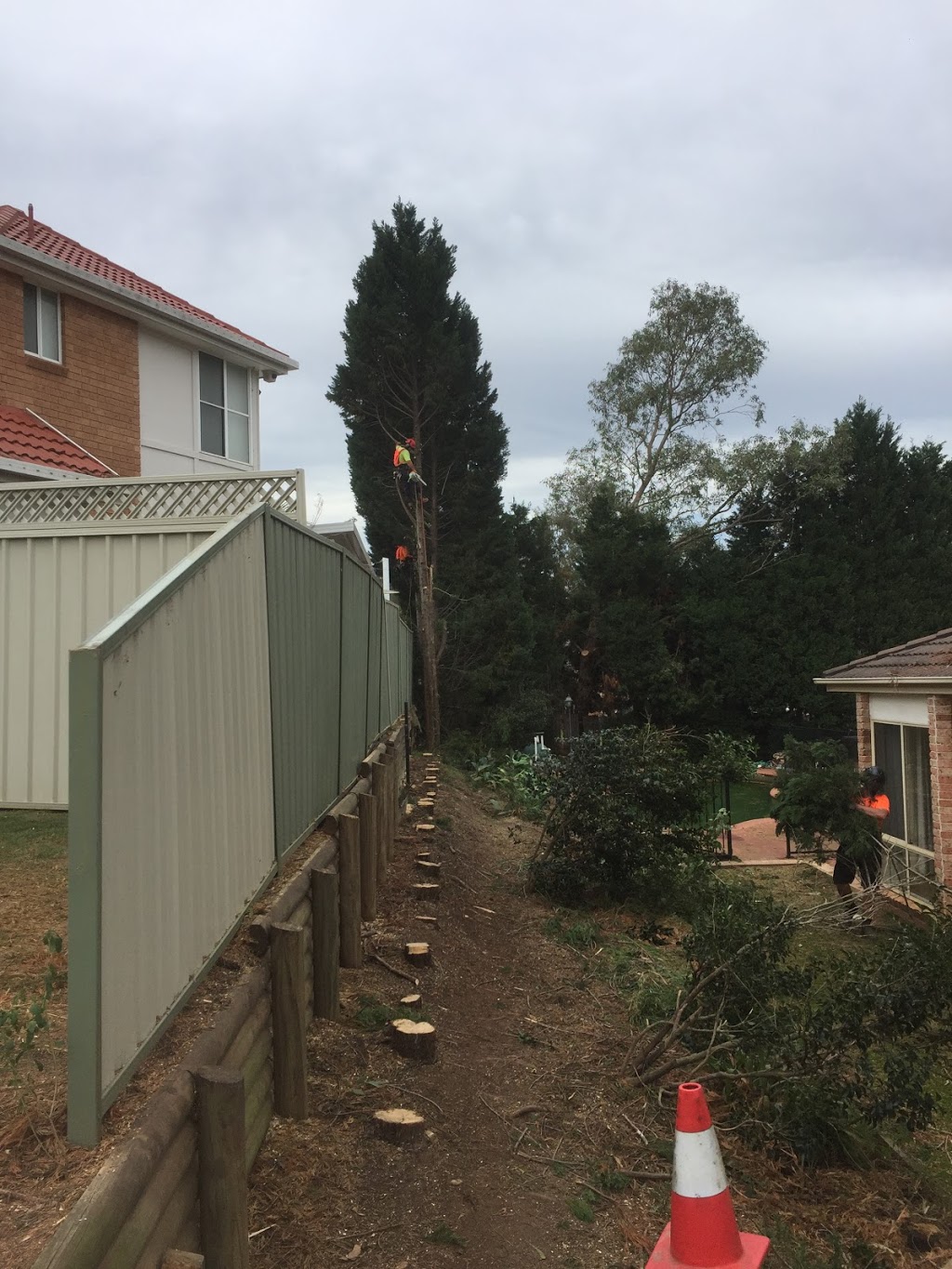 ASG Tree Services |  | 16-24 Tickner St, Castlereagh NSW 2749, Australia | 0415583100 OR +61 415 583 100